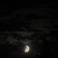 Ночь. Луна. :: dmitriy-vdv 