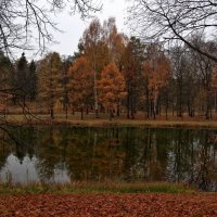 Осень в императорском парке :: Ард Прохоров
