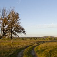 дорога :: Ольга Елисеева