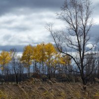 Осенний пейзаж :: Виктор Алеветдинов