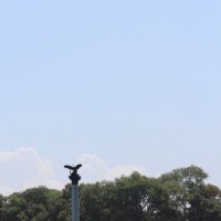 Севастополь.Памятник затонувшим кораблям :: Виктория Мозговых