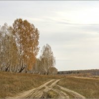 хороший денек :: Александр 