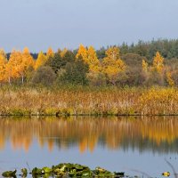 Солнце выглянуло... :: Александр Герасенков