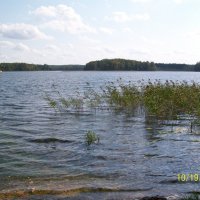Латгалия край озер. :: rimma ilina 