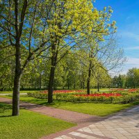 Май в Царицыно... :: Владимир Жданов