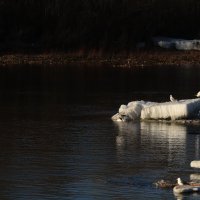 На закате :: Овсечук Мария 