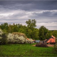 "Цветение холодной весной в Пущино"© :: Владимир Макаров