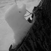 Снежный пёсик :: Дмитрий Никитин