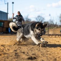 *** :: Алексей le6681 Соколов