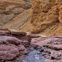 красный каньон :: Tatiana Kolnogorov