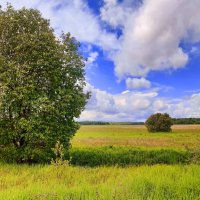 Июнь Июльевич Август вернулся, встречайте... :: Екатерина К.