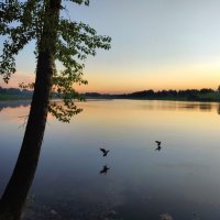 Закат на озере :: Денис Бочкарёв