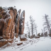 ск. Перья :: Аркан Арканович