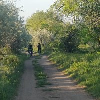 Вечер  ...Семья на велопргулке. :: Андрей Хлопонин