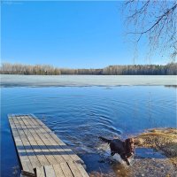 Ох, Дина! Лишь бы в воду залезть! :: Анастасия Северюхина