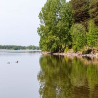 На озере. :: Вадим Басов