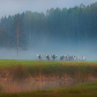 Велопрогулка :: Фёдор. Лашков