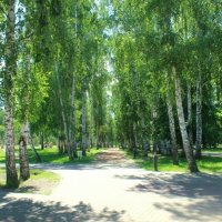 В городском парке :: Горкун Ольга Николаевна 