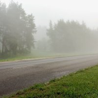По дороге туман.. :: Юрий Стародубцев