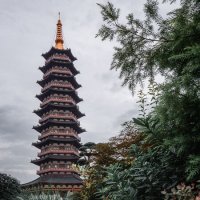 Пагода в парке города Цзиньхуа :: Дмитрий 