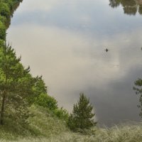 Гребля :: Роман Пацкевич