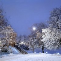 зимний вечер в парке :: Андрей Кузьминов