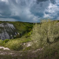 Весенняя гроза :: Фёдор. Лашков