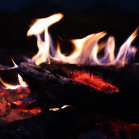Магия огня или в огне живущая саламандра :: Павел Fotoflash911 Никулочкин