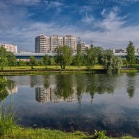 В городском парке. :: Aleksey Afonin