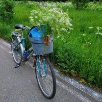 Я буду долго гнать велосипед... Нарву цветов и подарю букет... :: Андрей Лукьянов