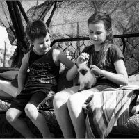 Дети с котенком :: Андрей Иванов