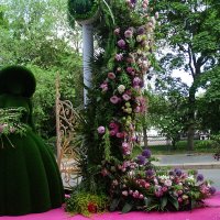 Фестиваль цветов в Санкт-Петербурге в честь 350-летия Петра I :: Anna-Sabina Anna-Sabina