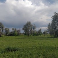 Дождевые облака. :: Георгиевич 