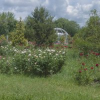 В ботаническом  саду :: Валентин Семчишин