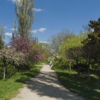 Ботанический  сад  весной :: Валентин Семчишин