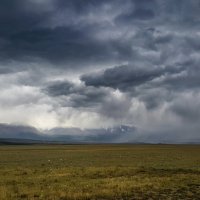 В Курайской степи :: Виктор Четошников