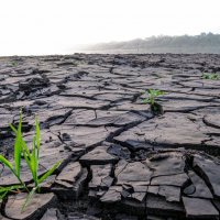 вода отошла, земля высохла :: Георгий А