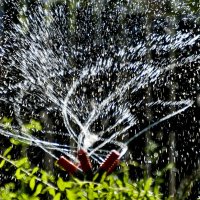 Вода,вода....,кругом вода.... :: валентин 