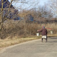 Будни на селе :: Олег Денисов