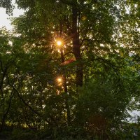 Солнце над и в Царицынском пруду :: Минихан Сафин