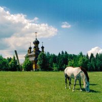 Деревенская лошадка :: M Marikfoto