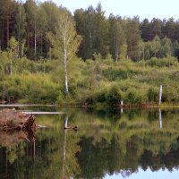Озеро в лесу :: Нэля Лысенко