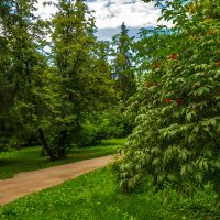 В парке :: Михаил Пименов