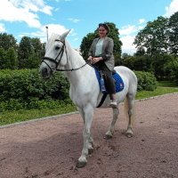 На коне. :: Марина Харченкова