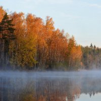 Туманным утром...... :: Юрий Цыплятников