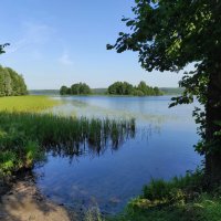 Волжский пейзаж. Июль. :: Ната Волга