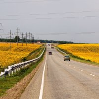 Yellow Road :: M Marikfoto