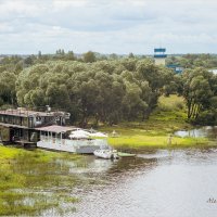 Река Волхов, береговая линия. :: Алексей Сопельняк