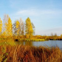 Водохранилище Сестрорецкий Разлив. :: Лия ☼