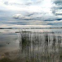Гладь озера Кундравы... :: Дмитрий Петренко